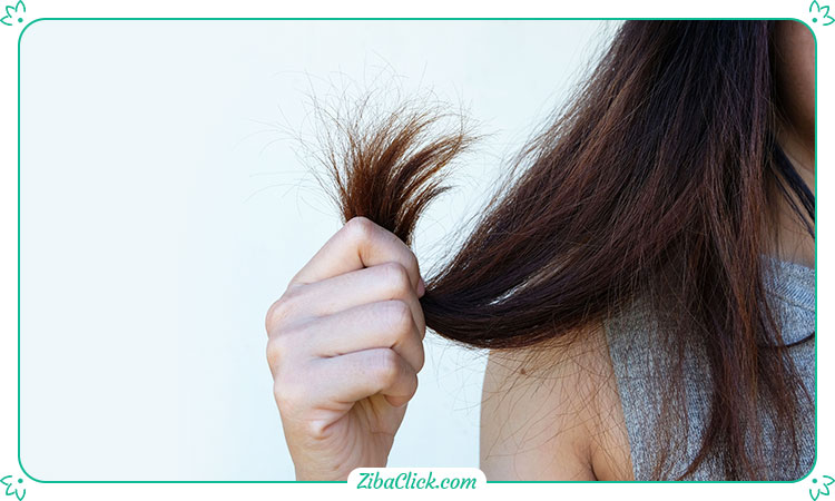 شکنندگی مو موجب تغییر در ظاهر و شادابی مو می شود
