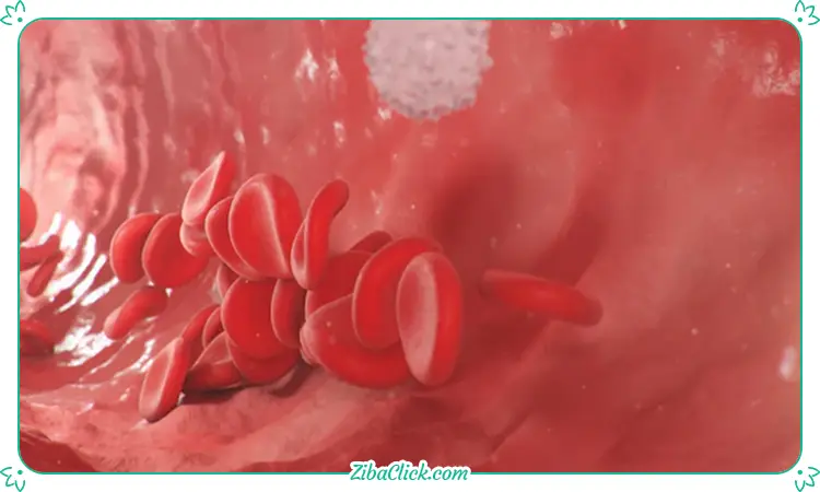 بیماری‌های خون و اندام‌های خون‌ساز: پیوند سلول‌های بنیادی خونساز